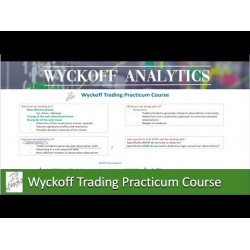 wyckoffanalytics-wyckoff-trading-practicum-course-250x250